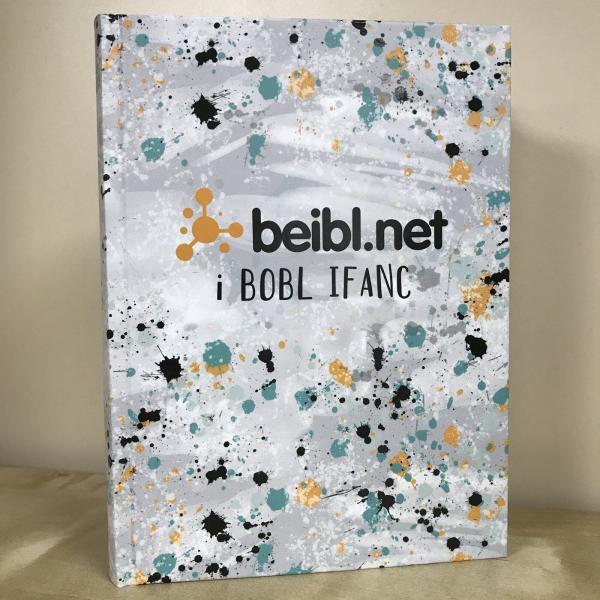 Beibl i Pobl Ifanc