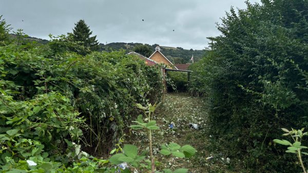 Early Consultation shows signs of significant support and excitement for The Parish Trust's Bryn Hall renovation project in Trethomas